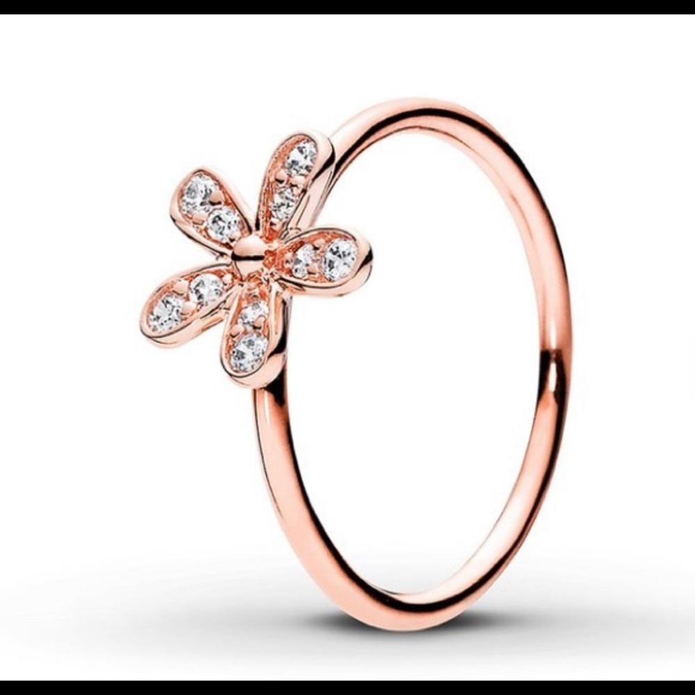 Pandora rose dazzling daisy